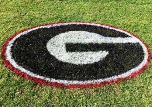 University of georgia football logo stencil paint kit 8&#039; by 6&#039; for sale