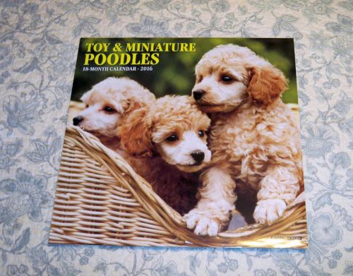 Toy &amp; Miniature Poodles 2016 18-Month Wall Calendar - NEW by Willow Creek Press