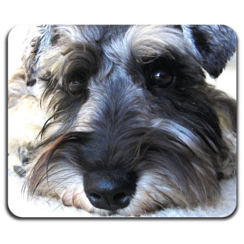 New Lovely Grey Schnauzer Dog Puppy Pet Animal Mouse Pad Mat Mousemat Mousepad