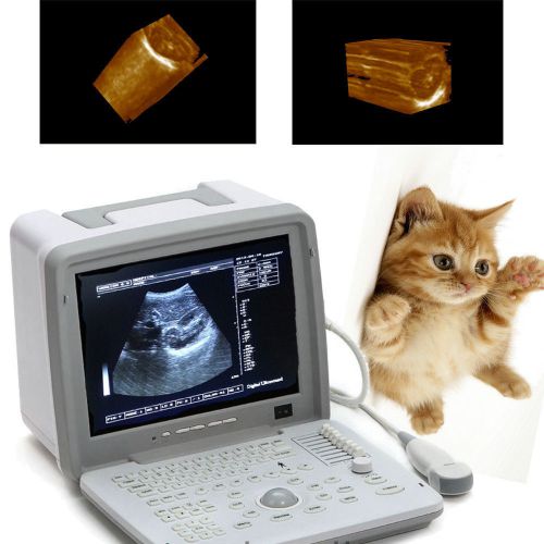 External 3d veterinary vet full digital portable ultrasound scanner micro convex for sale