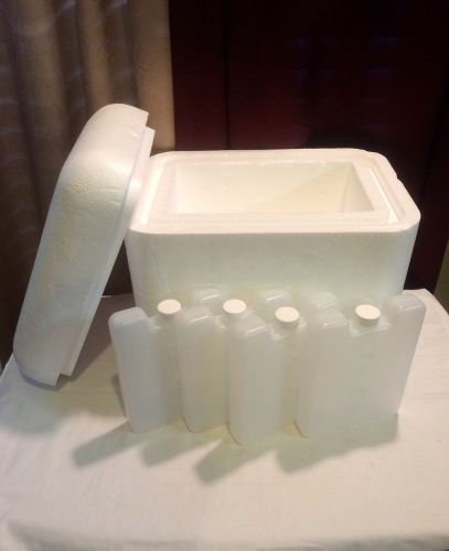 Insulated Styrofoam Cooler &amp; Ice Packs. Shipping Container 13x10x12  w/2&#034; Walls?