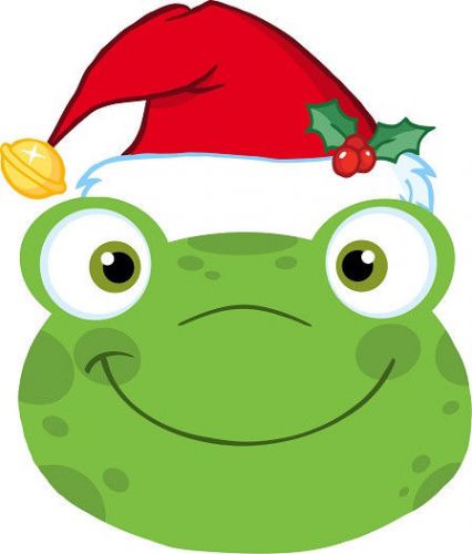 30 Custom Holiday Frog Personalized Address Labels