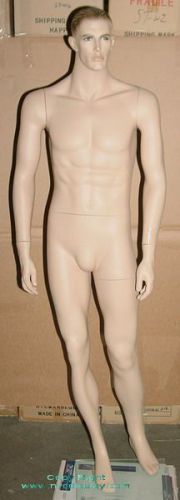 New! 6&#039;1h male adult muscular mannequin torso body sm4f for sale