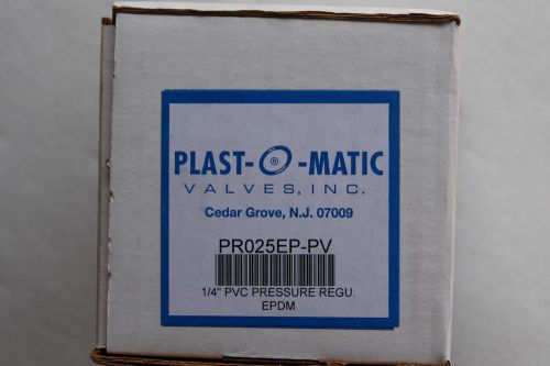 Plast O Matic PR025EP-PV PVC Check Valve, 1/4&#034; NPT Connection
