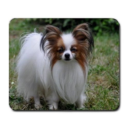 Cute Puppy Papillon Puppies Dogs Pets Animal Large Mousepad Mouse Pad