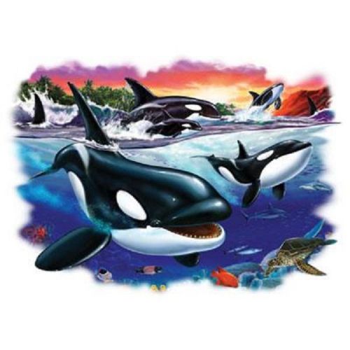 Orca Whale &amp; Babies HEAT PRESS TRANSFER for T Shirt Tote Sweatshirt Quilt  549ha