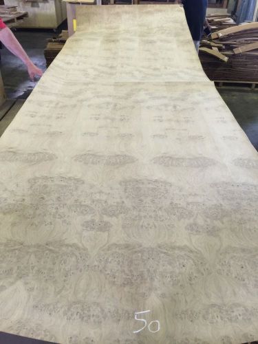 Wood Veneer White Oak Burl 48x144 1 Piece 20Mil Paper Backed  HALF OFF!!! #50