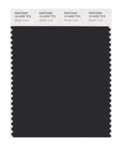 Pantone PANTONE SMART 19-4005X Color Swatch Card, Stretch Limo