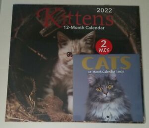 Kittens and Cats 2 Pack Wall Calendars 2022 ~ New Sealed ~ 12 Months