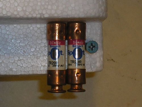 (lot of 2)tr20r shawmuttrionic smartspot dualelement timedelay rk5 fuse 20a 250v for sale