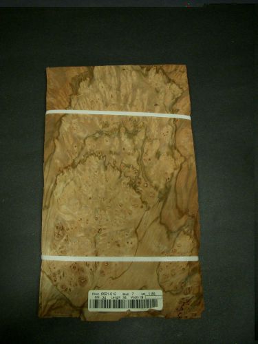 Pimento burl nogal wood veneer raw 7 1/2 &#034; x 13&#034; - 34 mm x 19 1/2 mm each sheet for sale