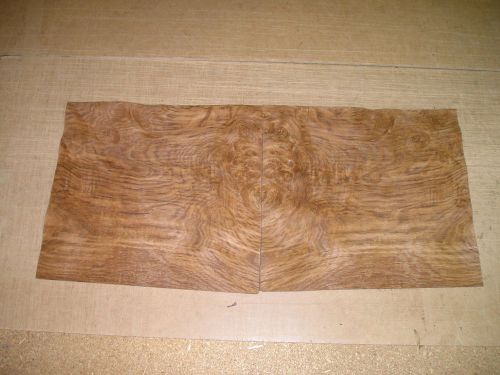 English Brown Oak Burl Veneer. 12.5 x 14, 12 Sheets.