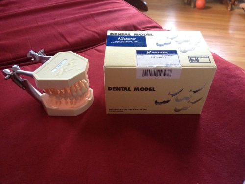 dental model study