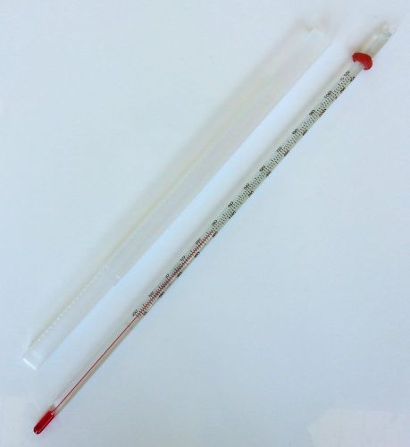 Partial Immersion Dual Scale Glass Thermometer w Anti-Roll Triangle/Plastic Case