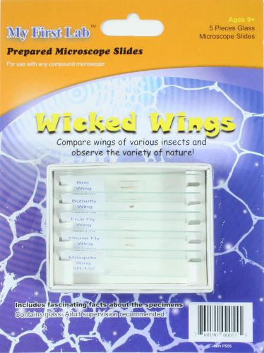 Prepared slides, set &#034;wicked wings&#034;. 5 slides of different insect&#039;s wings. bzzz! for sale