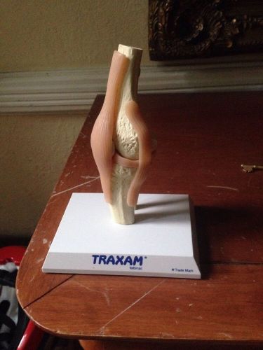 @Professional New Functional Knee Joint Flexible Anatomical Model@UK Seller@