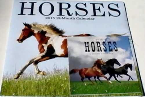 2015 12 Month Wall Calendar ~ HORSES BONUS Smaller HORSES Animals Calendar NEW!