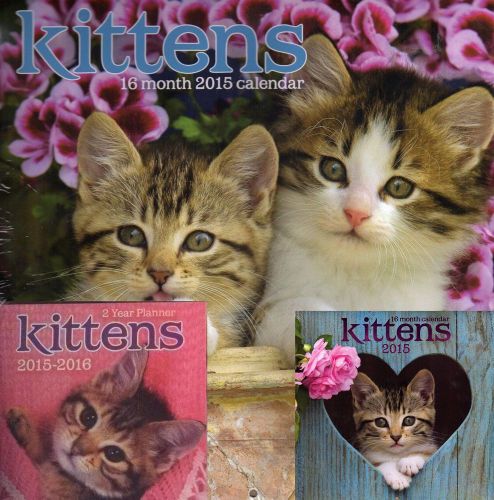 2015 16 Month KITTENS Wall Cat Calendar Lot - 12 x 12, Mini &amp; Pocket Planner NEW
