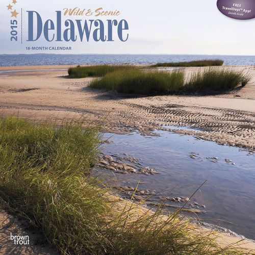 Delaware, Wild &amp; Scenic - 2015 Wall Calendar - 12X12 - NEW 2015