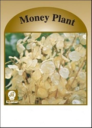 Flower seed packets, money plant, 100 pkg - marketing  promotion mortgage for sale