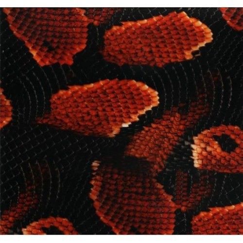 HYDROGRAPHIC WATER TRANSFER PRINTING HYDROdipping FILM GRAPHIC snake print dip