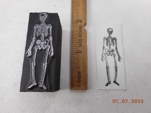Printing Letterpress Printers Block, Medical Human Skeleton