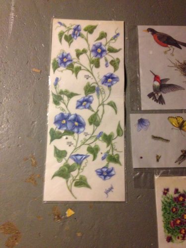 Lot of  Nature Birds Heat Transfers for Walls Furniture Floors Woodwork Cabinets