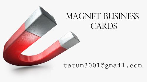 100 Magnet business cards 2&#034;x 3.5&#034;