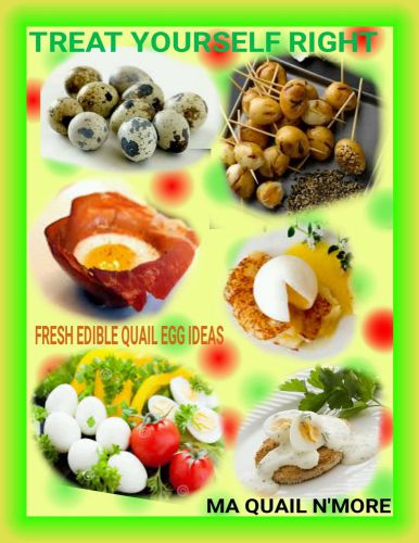 24+FRESH EDIBLE QUAIL EGGS FOR EATING recipes, treats, delicious, fancy, healthy