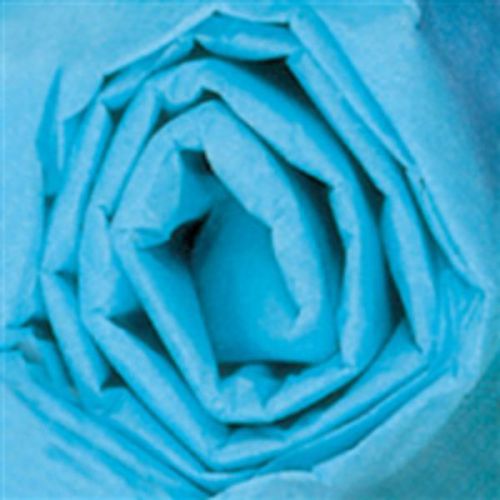20&#034; x 30&#034; Turquoise Gift Grade 10# Tissue Paper (Case of 480 Sheets)