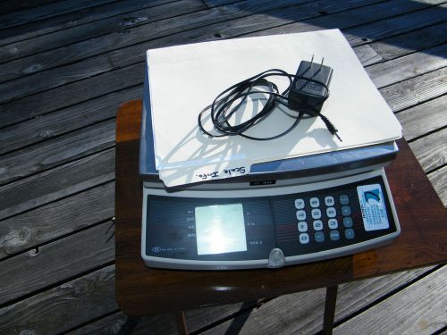 Rice Lake Weighing Systems Scale Model: R30 Temp. 0 to+40c