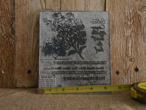 Newspaper Printing Plate North Haven Gardens