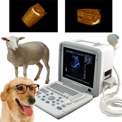 Veterinary vet 3d full digital portable ultrasound scanner convex 3d workstation for sale
