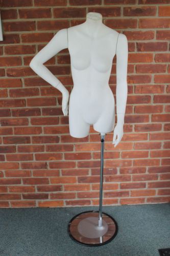 Mannequin Store Display Sexy Woman Removable Arms No head Chrome Stand