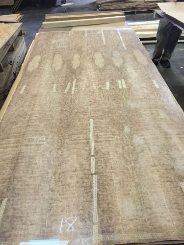 Wood Veneer Pommele Eucalyptus 48x98 1 Piece 10Mil Paper Backed &#034;EXOTIC&#034; 1613 18