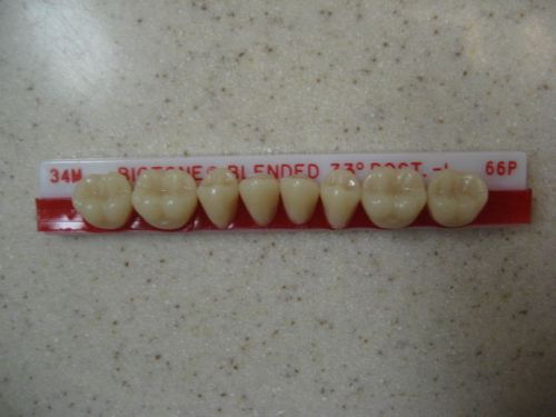 Dentsply Trubyte BioTone 33° Lower Posterior Mould 34M / 66P Dental Teeth