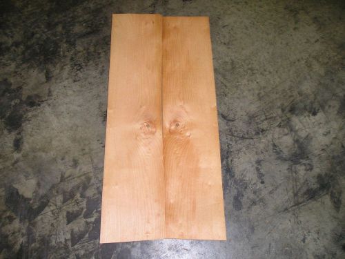 Maple Cluster Burl Wood Veneer. 6.5 x 29, 23 Sheets.