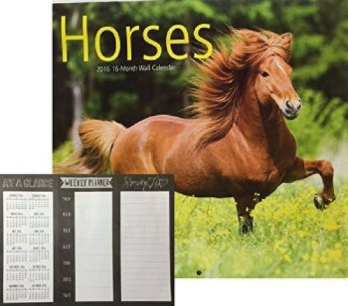 2016 Monthly Wall Calendar with Assorted Horses - 16 Months with Weekly Planner
