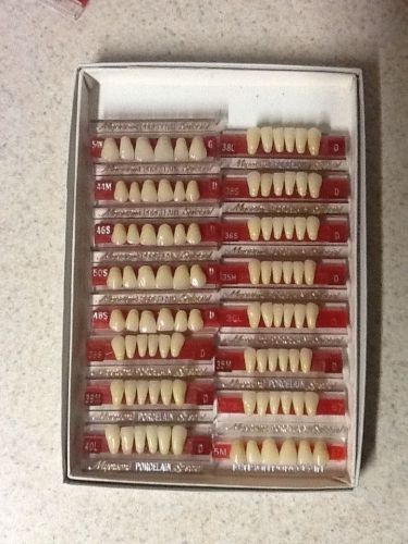 denture teeth
