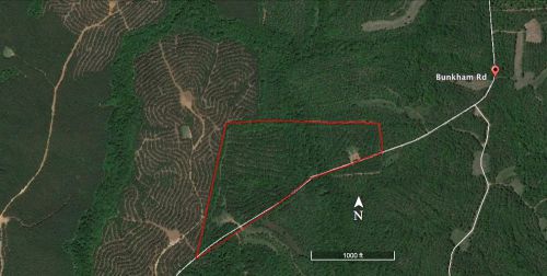 35+ Acres Hunting Land Tract Talbot County GA
