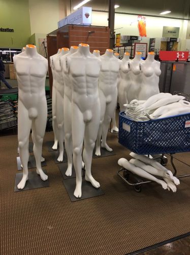 16 Slightly Used Mannequins For Sale......between 9.5 And 10 Condition