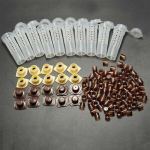 Bee Queen Cages Plastic Protective Cover Cup Rearing New Bees King TooWF PAN