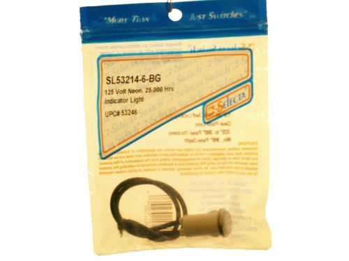 Selecta Switch SL53214-6-BG  Light Neon 1/2 O.D. Flush White Lens 125V AC or DC