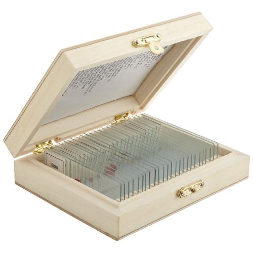 25 Prepared Microscope Slides Wooden Case High School Level Life Science
