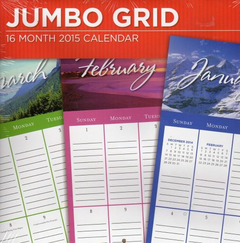 16 month 2015 calendar jumbo grid 12 x 12 organizer new planner for sale