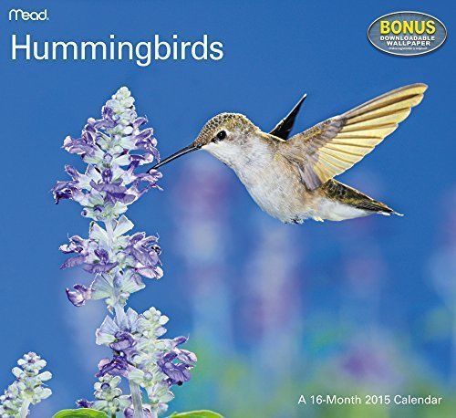 2015 16-Month HUMMINGBIRDS Wall Calendar NEW SEALED Outdoor Nature Birds
