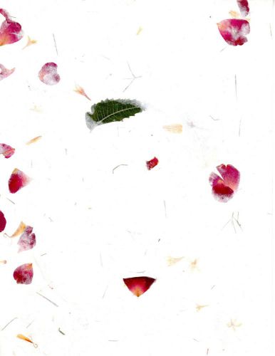 Roses, Leaves and Flower Petals Handmade Paper Cardstock, 8.5x11, 100 sheets