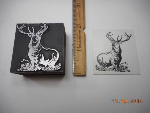 Letterpress Printing Printers Block, Buck Deer w Antlers