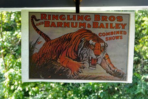 NOS Vintage Ringling Bros and Barnum &amp; Bailey Circus Iron-on T-Shirt Transfer 