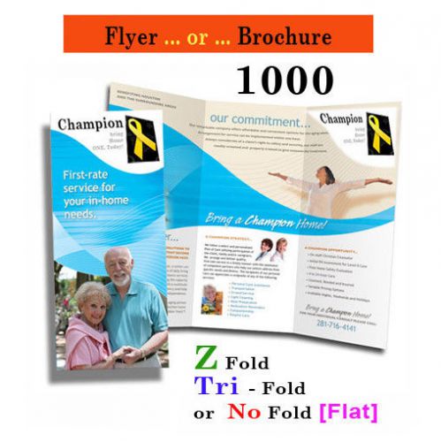 1000 Flyer/brochures [Fold or Flat] 8 1/2 x 11* 1or2 Side on Gloss 100 lb. book